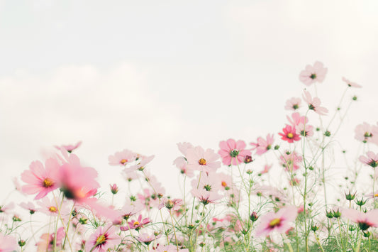 Embrace the Transition: Balancing Kapha for Late Winter and Spring