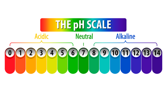 Understanding pH and Your Skin's Moisture Barrier